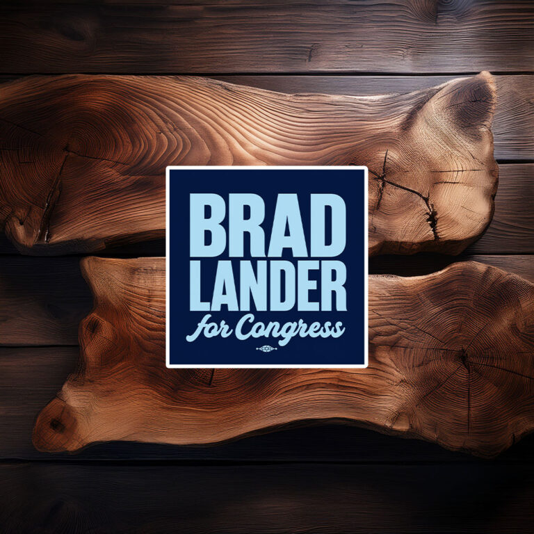 Brad Lander For Congress Sticker